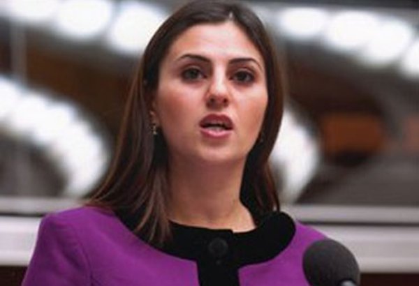 Sevinc Fətəliyeva: Multikulturalizm ideyasının zəfəri terrorizmə qarşı ən ağır zərbədir