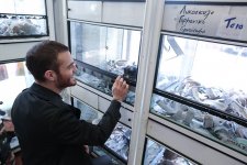 Afinadan isti külək: Elnurun promoturunda növbəti dayanacaq