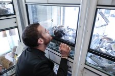 Afinadan isti külək: Elnurun promoturunda növbəti dayanacaq