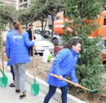 Leyla Əliyevanın təşəbbüsü ilə Bakıda yeni ağaclar əkildi (FOTO)