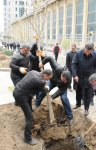 Leyla Əliyevanın təşəbbüsü ilə Bakıda yeni ağaclar əkildi (FOTO)