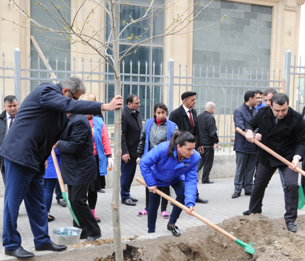 Leyla Əliyevanın təşəbbüsü ilə Bakıda yeni ağaclar əkildi (FOTO)