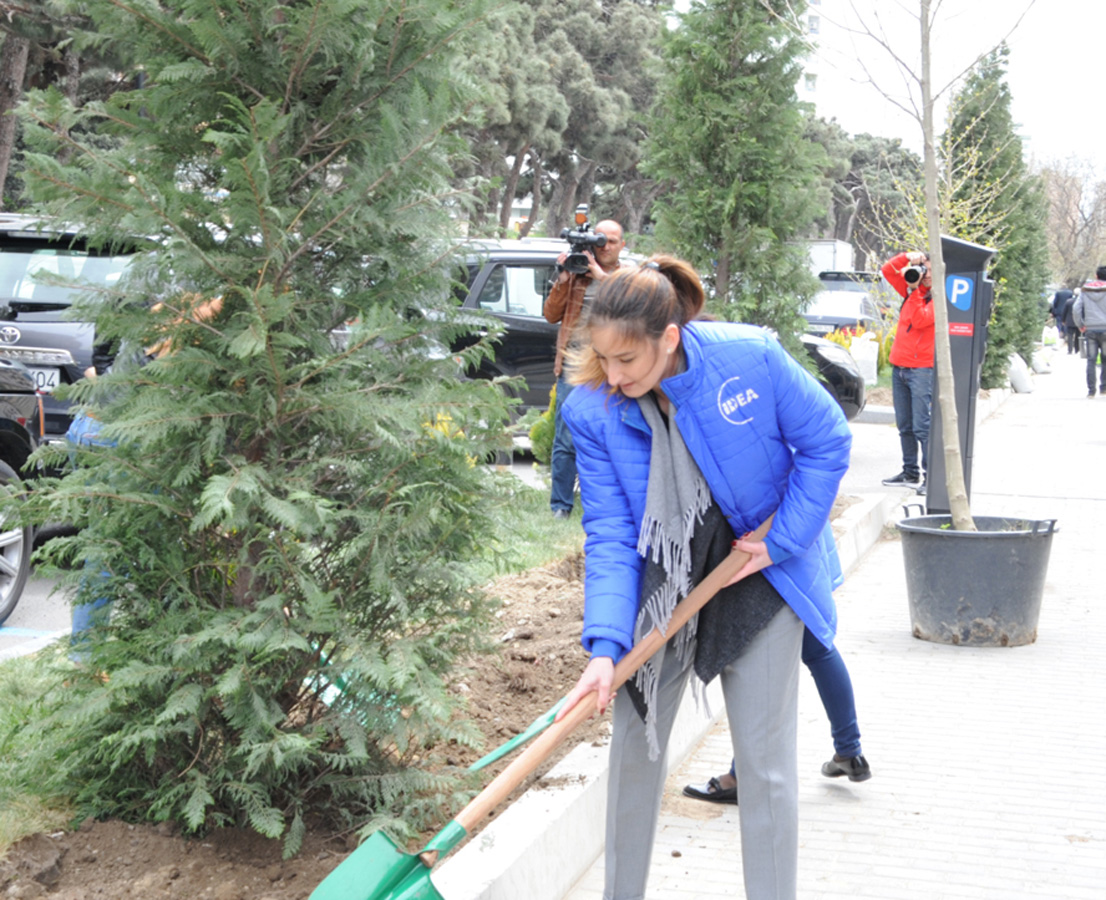 Leyla Əliyevanın təşəbbüsü ilə Bakıda yeni ağaclar əkildi (FOTO)