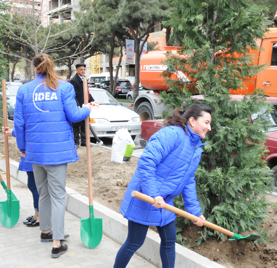 Leyla Əliyevanın təşəbbüsü ilə Bakıda yeni ağaclar əkildi (FOTO)