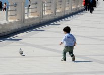 Turistlər Avropa Oyunları öncəsi Bakını gəzirlər (FOTO)