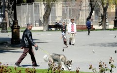 Turistlər Avropa Oyunları öncəsi Bakını gəzirlər (FOTO)
