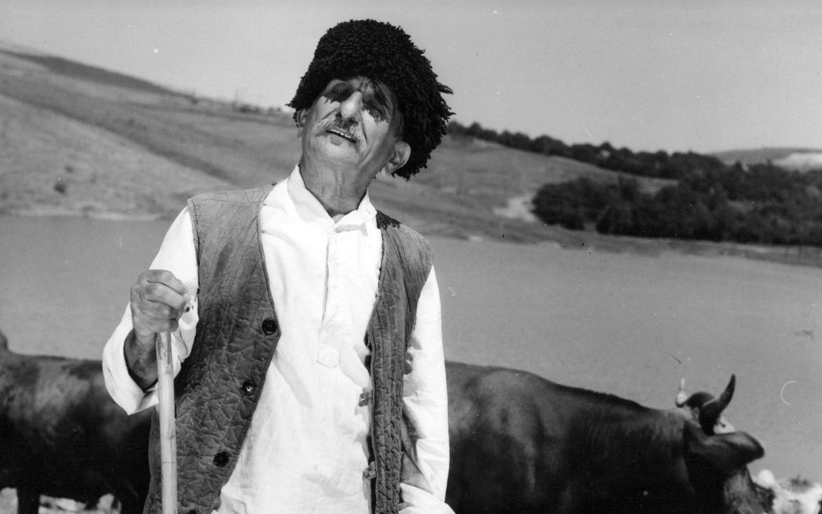 Muxtar Avşarov - 100 (FOTO)