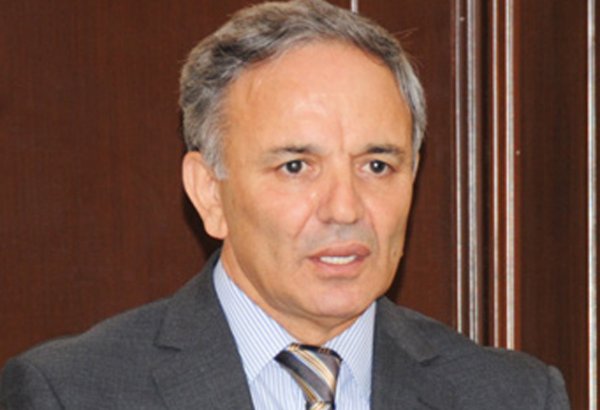 Əflatun Amaşov: Məsələni söz və mətbuat azadlığının hansısa formada məhdudlaşdırılmasına gətirmək doğru deyil