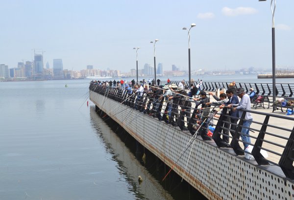 I Avropa Oyunlarına gələcək turistlər üçün əla məkan: Bakı buxtasının balıqçıları (FOTO)