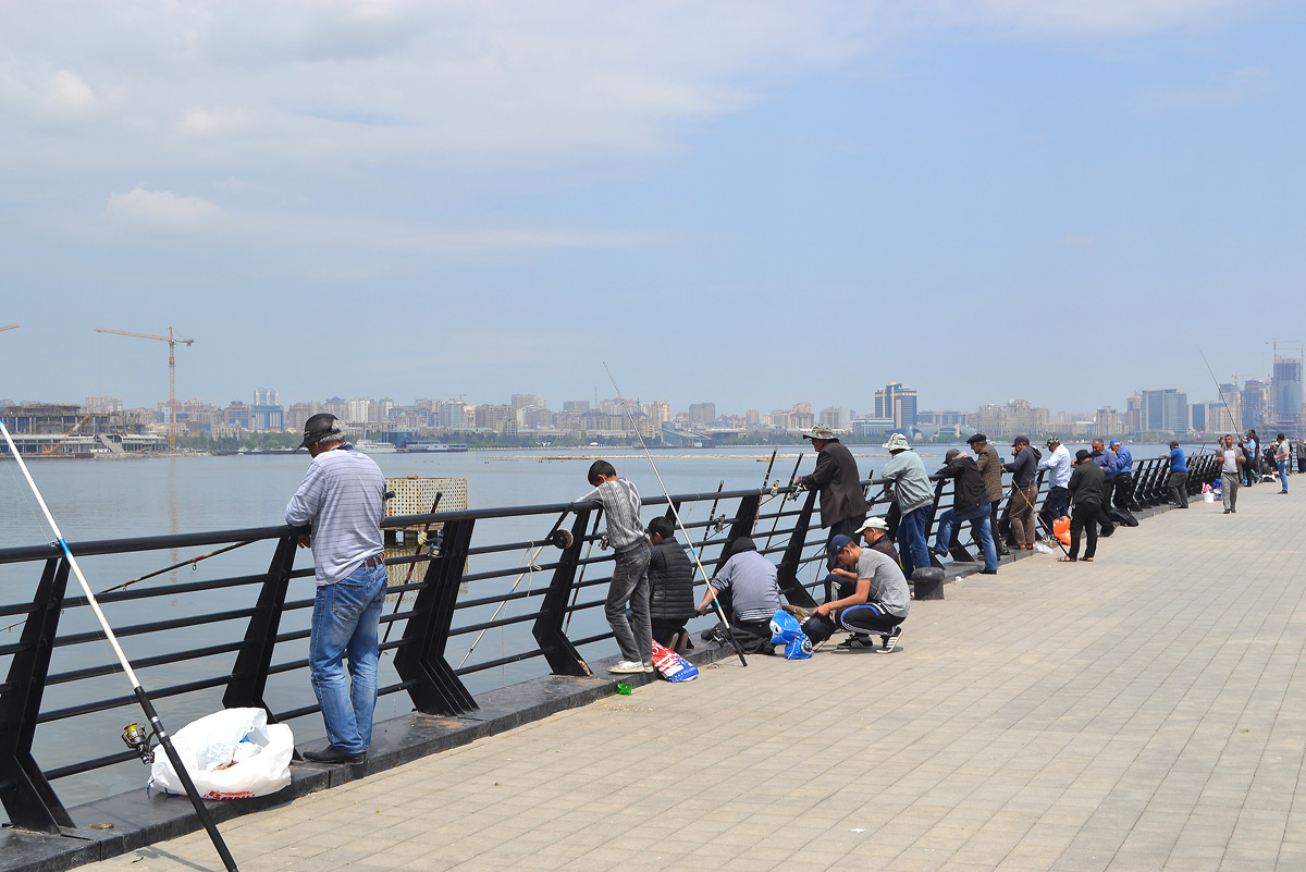 I Avropa Oyunlarına gələcək turistlər üçün əla məkan: Bakı buxtasının balıqçıları (FOTO)