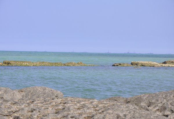 Xəzər dənizində kilkə və nərə balıqlarının sayı azalıb