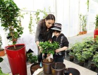 Leyla Əliyeva “Yaşıl Marafon” layihəsi çərçivəsində bir milyonuncu ağacı əkdi (FOTO)