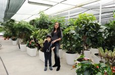 Leyla Əliyeva “Yaşıl Marafon” layihəsi çərçivəsində bir milyonuncu ağacı əkdi (FOTO)