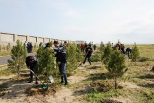 Leyla Əliyeva “Yaşıl Marafon” layihəsi çərçivəsində bir milyonuncu ağacı əkdi (FOTO)