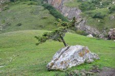 I Avropa Oyunlarına gələcək qonaqlar üçün unikal məkan (FOTO)