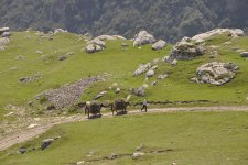 I Avropa Oyunlarına gələcək qonaqlar üçün unikal məkan (FOTO)