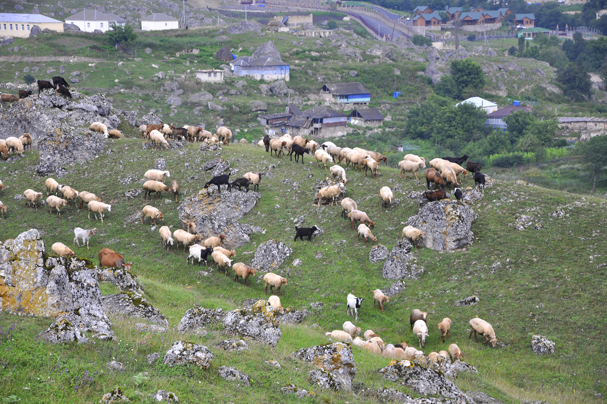 I Avropa Oyunlarına gələcək qonaqlar üçün unikal məkan (FOTO)