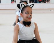 Bədii gimnastika üzrə festival yarışları keçirilib (FOTO)
