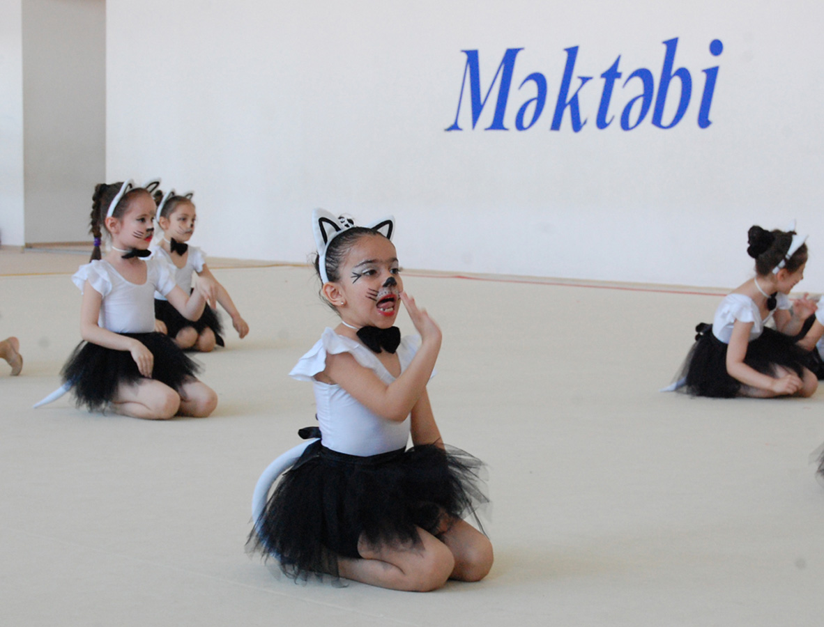 Bədii gimnastika üzrə festival yarışları keçirilib (FOTO)