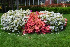 Bakı-2015: Dağüstü parkdan paytaxta açılan gözəl mənzərə (FOTO)