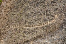 Bakı 2015: Azərbaycanın qədim tarixinin şahidi – Qobustan (FOTO)