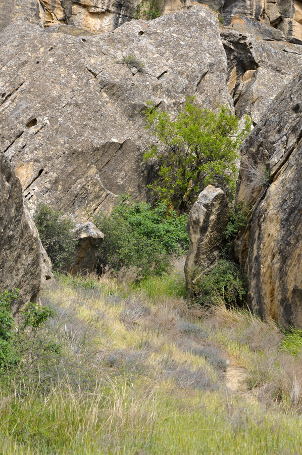 Bakı 2015: Azərbaycanın qədim tarixinin şahidi – Qobustan (FOTO)