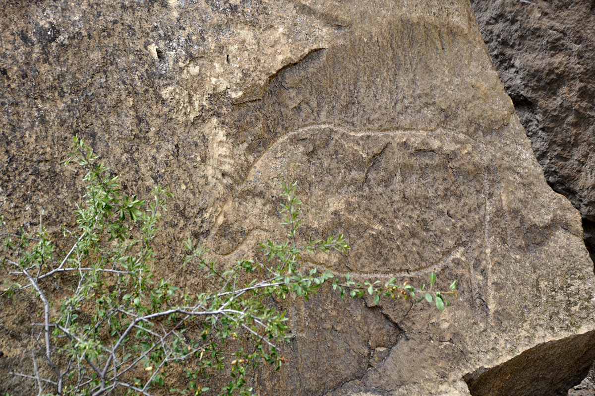 Bakı 2015: Azərbaycanın qədim tarixinin şahidi – Qobustan (FOTO)