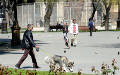 Bakı sakinləri və qonaqlar: İlk Avropa Oyunları əhvali-ruhiyyəsində (FOTO)