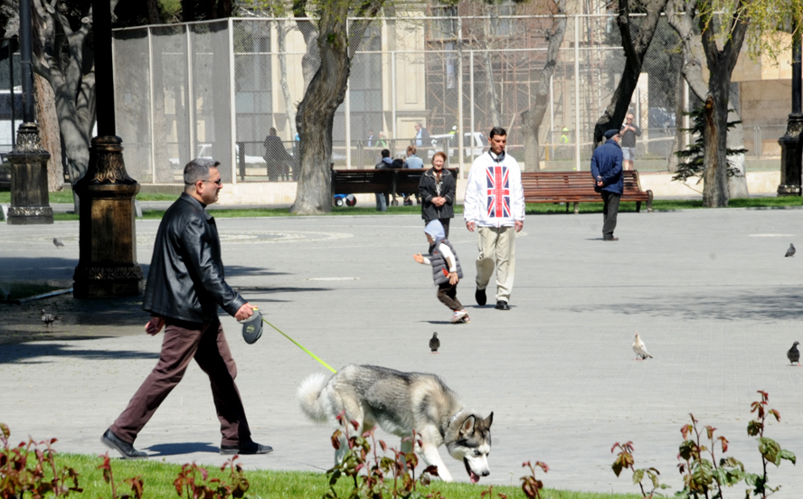 Bakı sakinləri və qonaqlar: İlk Avropa Oyunları əhvali-ruhiyyəsində (FOTO)