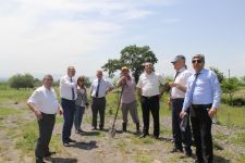 "Kitabi-Dədə Qorqud"un izi ilə Qaxda oğuz qəhrəmanı Bəkilin sorağında (FOTO)