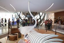 “Milan Expo 2015” sərgisində Azərbaycanın milli pavilyonu çox populyardır (FOTO, VİDEO – 1-ci hissə)