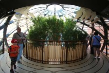 “Milan Expo 2015” sərgisində Azərbaycanın milli pavilyonu çox populyardır (FOTO, VİDEO – 1-ci hissə)