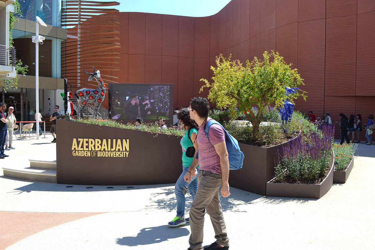 “Milan Expo 2015” sərgisində Azərbaycanın milli pavilyonu çox populyardır (FOTO, VİDEO – 1-ci hissə)