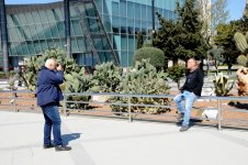Avropa Oyunları ərəfəsində xarici turistlərin Bakı sərgüzəştləri (FOTO)