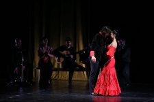 İspaniyanın “Flamenko” qrupu “Karmen” əsərini yeni quruluşda təqdim edib (FOTO)
