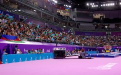 Gimnastlarımız medallar uğrunda mübarizəni davam etdirirlər (ƏLAVƏ OLUNUB-2) (FOTO)