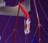 Gimnastlarımız medallar uğrunda mübarizəni davam etdirirlər (ƏLAVƏ OLUNUB-2) (FOTO)