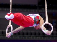 Gimnastlarımız medallar uğrunda mübarizəni davam etdirirlər (ƏLAVƏ OLUNUB-2) (FOTO)