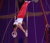 Gimnastlarımız medallar uğrunda mübarizəni davam etdirirlər (ƏLAVƏ OLUNUB-2) (FOTO)