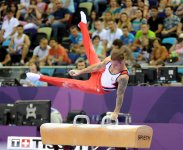 Azərbaycan gimnastı gümüş medal qazandı (FOTO)