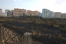 Bakıda yaşıllıq ərazidə baş vermiş yanğın söndürülüb (FOTO)