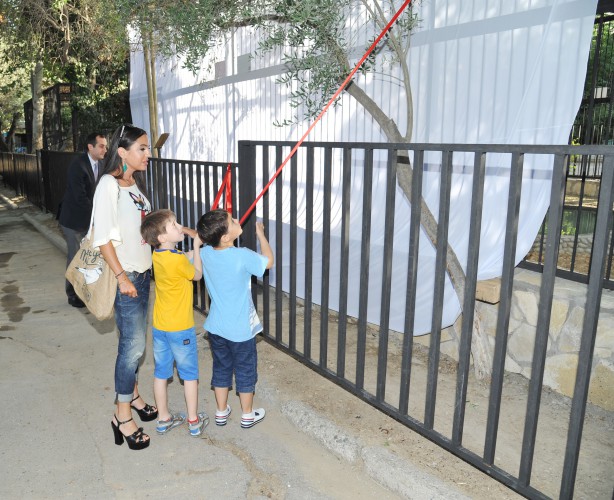 Leyla Əliyevanın təşəbbüsü ilə Bakı Zooloji Parkında yeni qəfəs quraşdırılıb (FOTO)