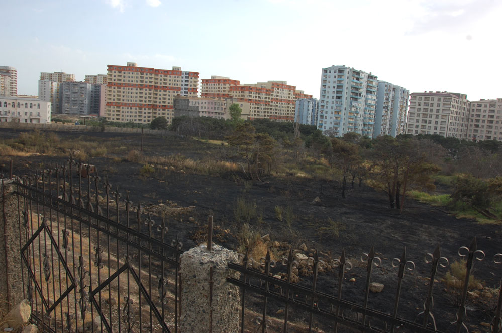 Bakıda yaşıllıq ərazidə baş vermiş yanğın söndürülüb (FOTO)