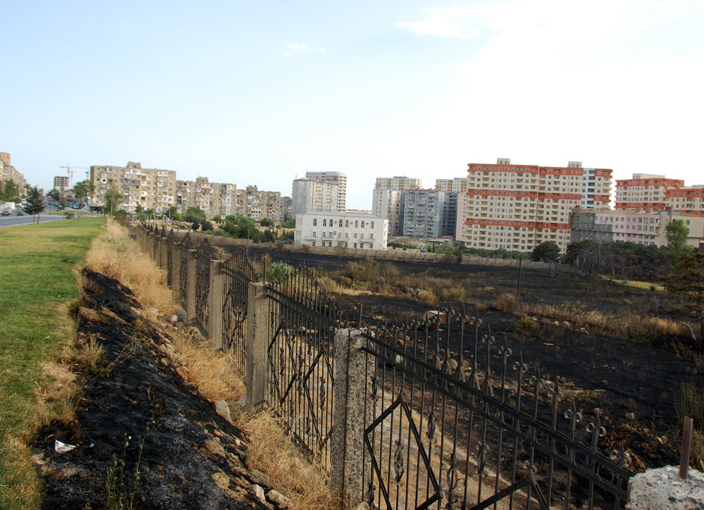Bakıda yaşıllıq ərazidə baş vermiş yanğın söndürülüb (FOTO)