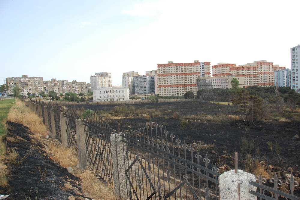 Bakıda yaşıllıq ərazidə baş vermiş yanğın söndürülüb (FOTO)