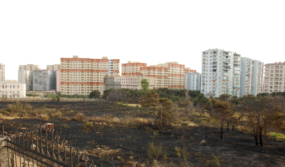 Bakıda yaşıllıq ərazidə baş vermiş yanğın söndürülüb (FOTO)