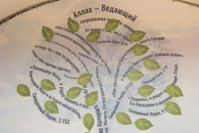 Moskvada Leyla Əliyevanın adından iftar verilib (FOTO)