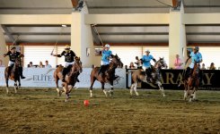 Poloçularımız Avropa çempionatında ilk qələbələrini qazandılar