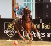 Azərbaycan millisi Polo üzrə Avropa Çempionatında ardıcıl 3-cü qələbəsini qazanaraq vahid lider olub (FOTO)