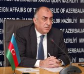 Elmar Məmmədyarov: "Türkiyə Azərbaycanı Dağlıq Qarabağ məsələsində birbaşa dəstəkləyir" (FOTO)